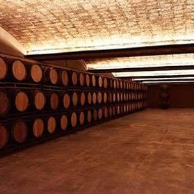 What can you do near Barcelona?